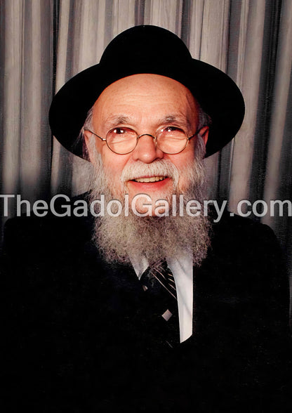 Rav Avraham Pam 1 Sukkah Poster