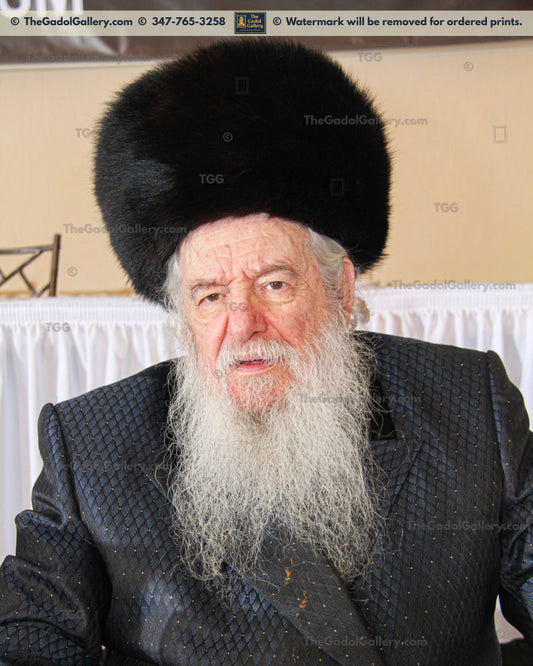 Rav Yakov Perlow - Novominsker Rebbe -1- הרב יעקב פרלוב