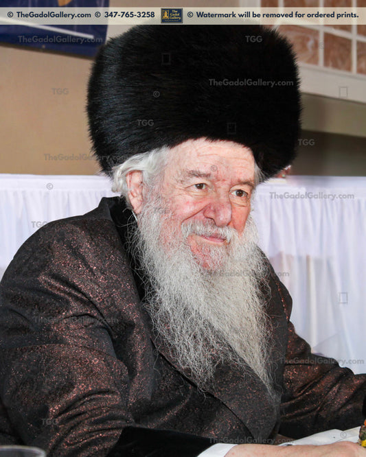 Rav Yakov Perlow - Novominsker Rebbe -2- הרב יעקב פרלוב