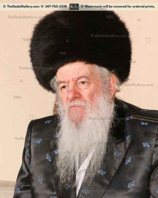 Rav Yakov Perlow - Novominsker Rebbe -4- הרב יעקב פרלוב