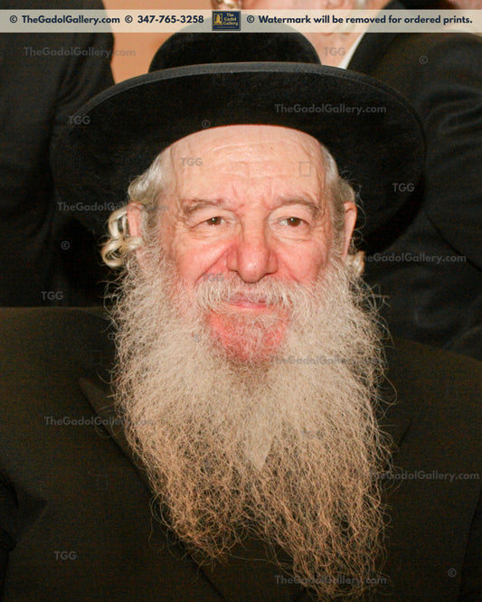 Rav Yakov Perlow - Novominsker Rebbe -5- הרב יעקב פרלוב
