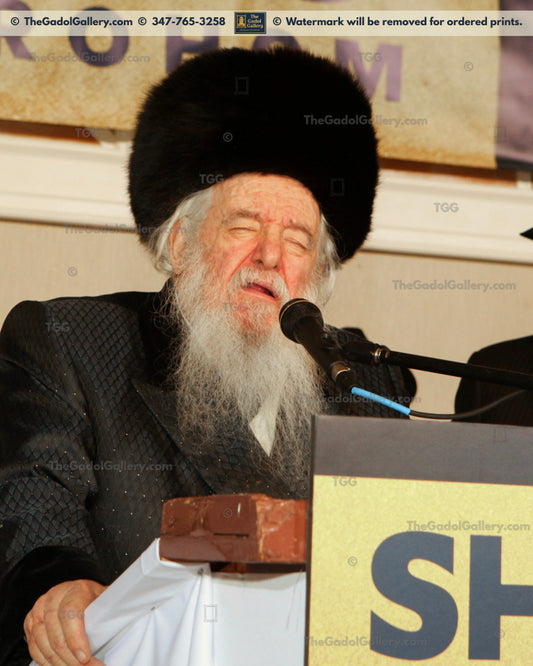 Rav Yakov Perlow - Novominsker Rebbe -6- הרב יעקב פרלוב