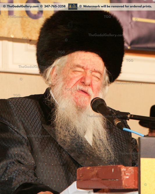 Rav Yakov Perlow - Novominsker Rebbe -7- הרב יעקב פרלוב