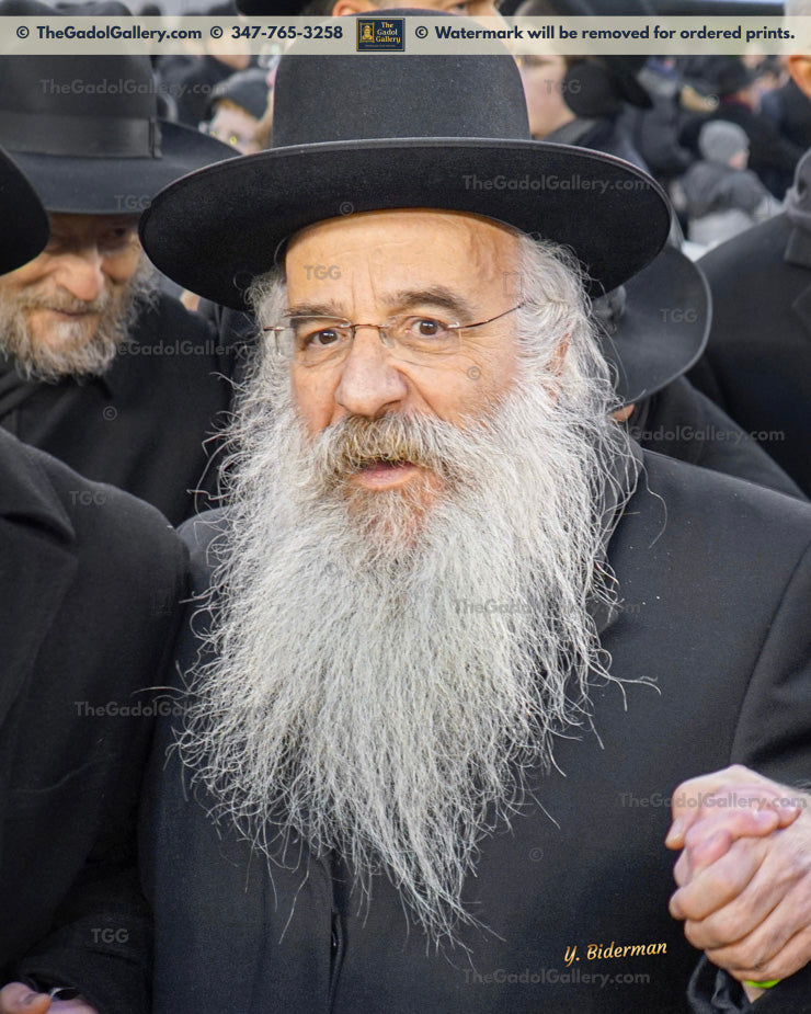 Rav Yehoshua Perlow 1 - Novomisker Rebbe