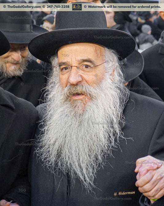 Rav Yehoshua Perlow 1 - Novomisker Rebbe
