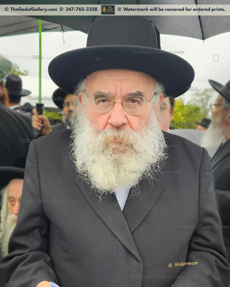 Rav Yisroel Perlow -2- Novomisker Rebbe