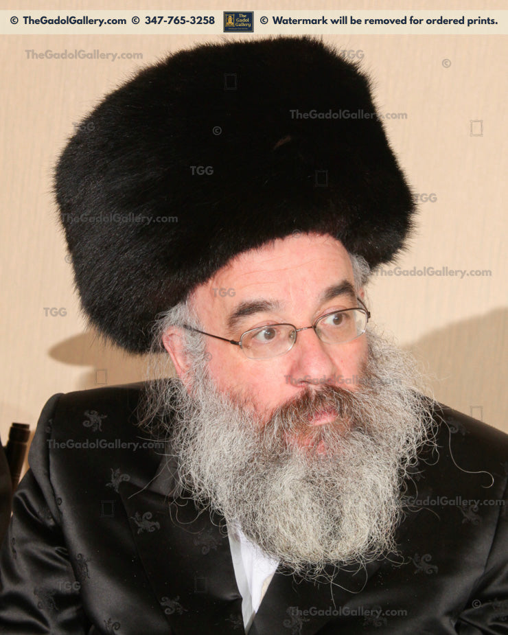 Rav Yisroel Perlow -5- Novomisker Rebbe