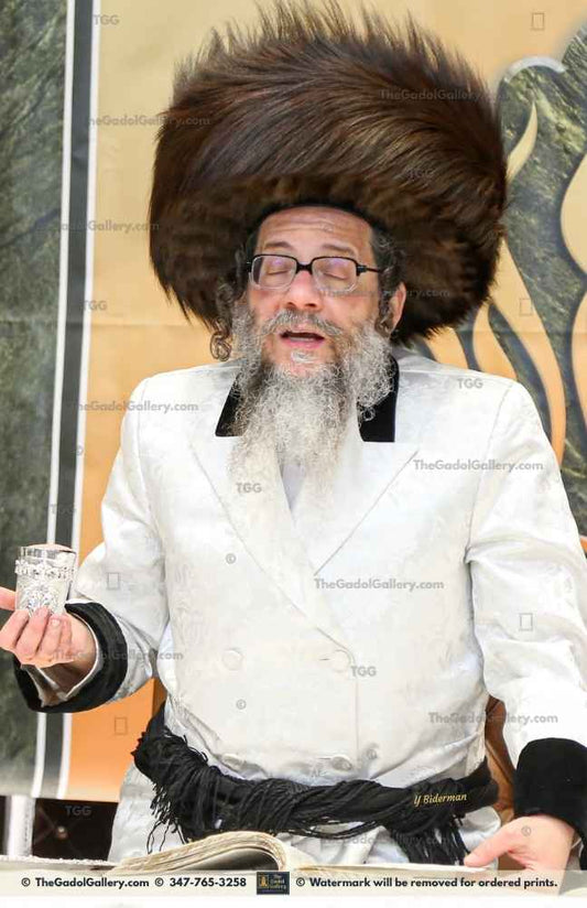 Rav Zvi Noach Portugal, The Skulener Rebbe Lakewood -3- האדמו"ר מסקולען Sukkah Poster