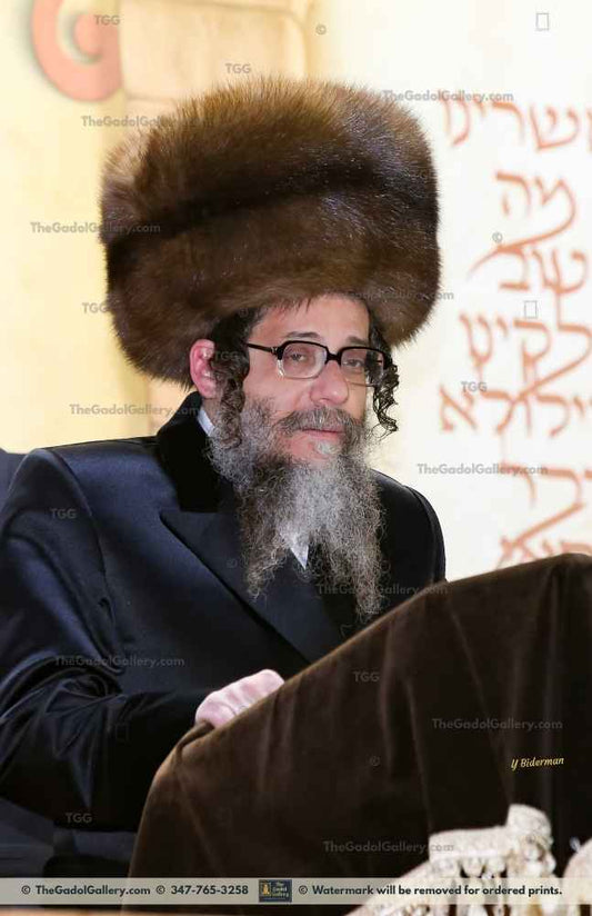 Rav Zvi Noach Portugal, The Skulener Rebbe Lakewood -4- האדמו"ר מסקולען Sukkah Poster