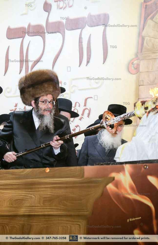 Rav Zvi Noach Portugal, The Skulener Rebbe Lakewood -2- האדמו"ר מסקולען Sukkah Poster