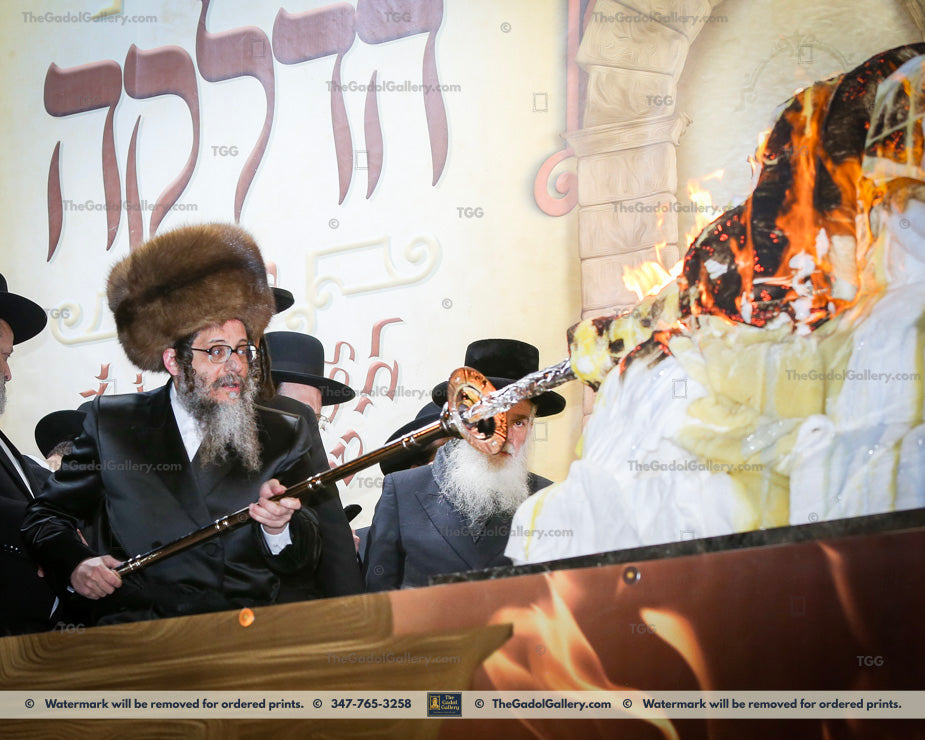 Rav Zvi Noach Portugal, The Skulener Rebbe Lakewood -3- האדמו"ר מסקולען