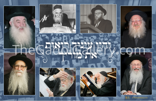 Bais Medrash Govoha (BMG) Sukkah Poster