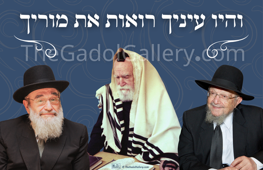 Rav Moshe, Rav Dovid & Rav Reuven Feinstein Sukkah Poster