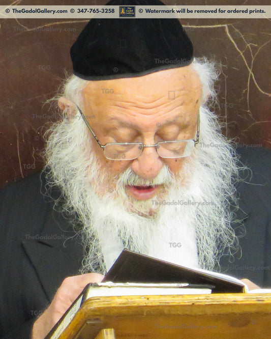 Rav Berel Povarsky -4- רב ברוך דוב (בערל) פאווארסקי