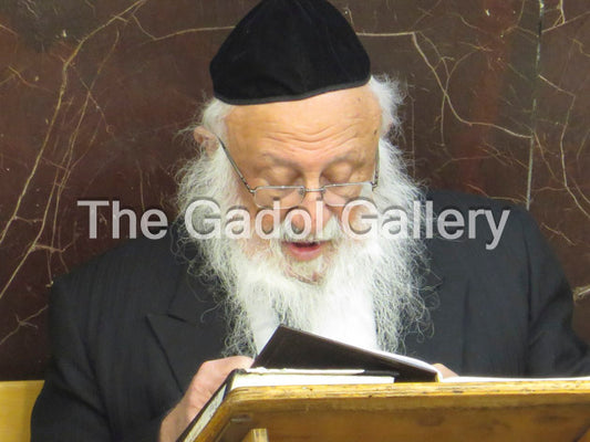 Rav Berel Povarsky -4- רב ברוך דוב (בערל) פאווארסקי
