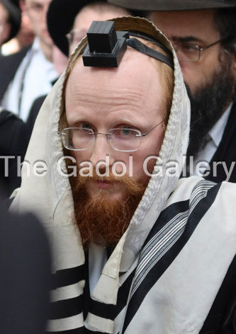 Rav Shlomo Praeger