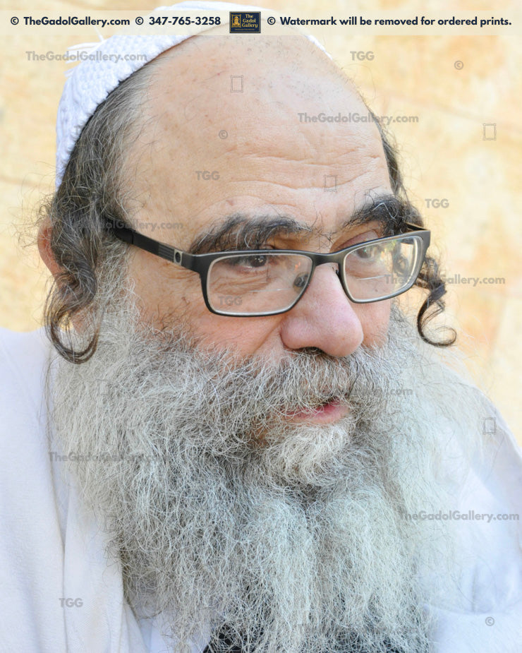 Rav Gamliel Rabinowitz -2- רב גמליאל הכהן רבינוביץ