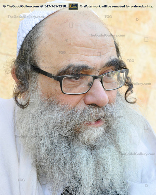 Rav Gamliel Rabinowitz -2- רב גמליאל הכהן רבינוביץ