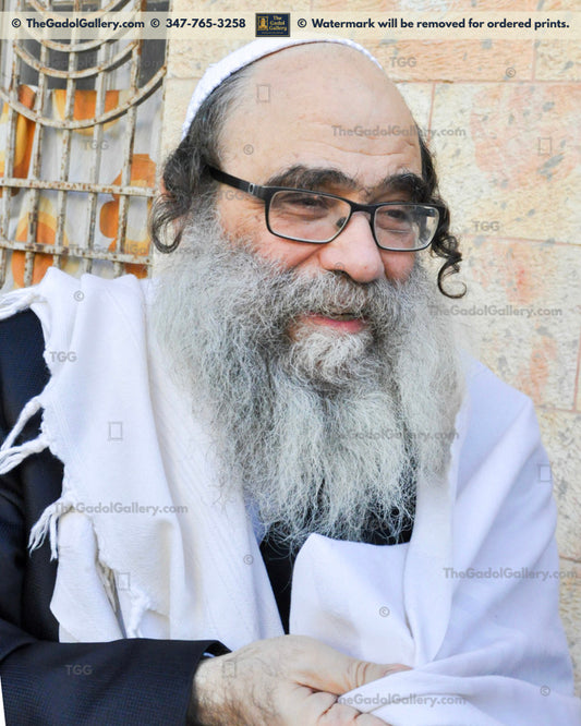 Rav Gamliel Rabinowitz -3- רב גמליאל הכהן רבינוביץ