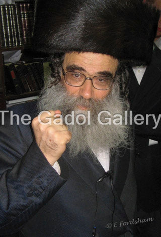 Rav Gamliel Rabinowitz -1- ×¨×‘ ×’×ž×œ×™××œ ×”×›×”×Ÿ ×¨×‘×™Ã— ×•×‘×™×¥ Sukkah Poster
