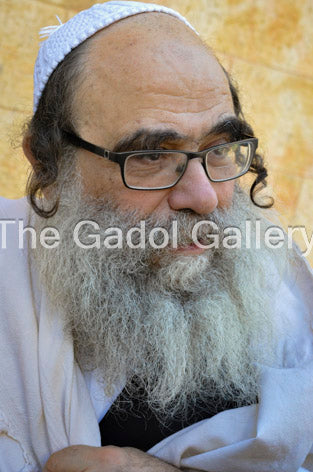 Rav Gamliel Rabinowitz -2- ×¨×‘ ×’×ž×œ×™××œ ×”×›×”×Ÿ ×¨×‘×™Ã— ×•×‘×™×¥ Sukkah Poster