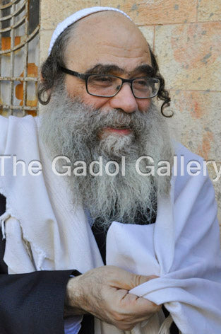 Rav Gamliel Rabinowitz -3- ×¨×‘ ×’×ž×œ×™××œ ×”×›×”×Ÿ ×¨×‘×™Ã— ×•×‘×™×¥ Sukkah Poster