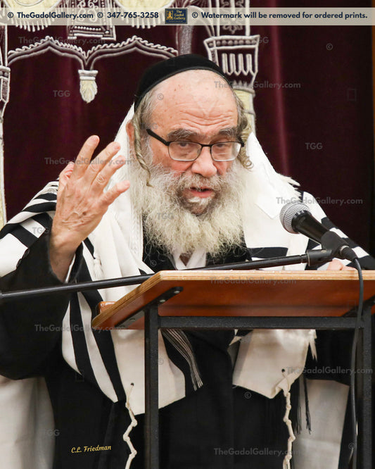 Rav Gamliel Rabinowitz -5- רב גמליאל הכהן רבינוביץ