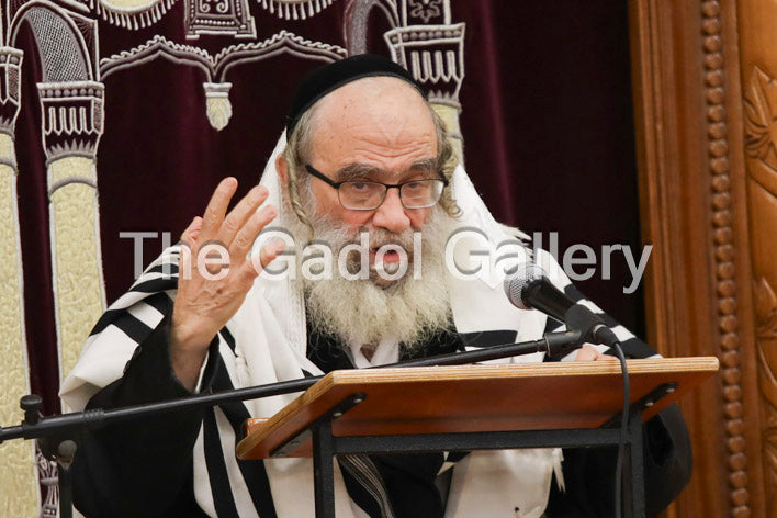 Rav Gamliel Rabinowitz -5- ×¨×‘ ×’×ž×œ×™××œ ×”×›×”×Ÿ ×¨×‘×™Ã— ×•×‘×™×¥ Sukkah Poster