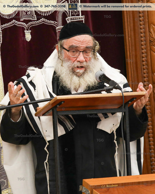 Rav Gamliel Rabinowitz -6- רב גמליאל הכהן רבינוביץ