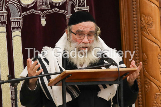 Rav Gamliel Rabinowitz -6- ×¨×‘ ×’×ž×œ×™××œ ×”×›×”×Ÿ ×¨×‘×™Ã— ×•×‘×™×¥ Sukkah Poster