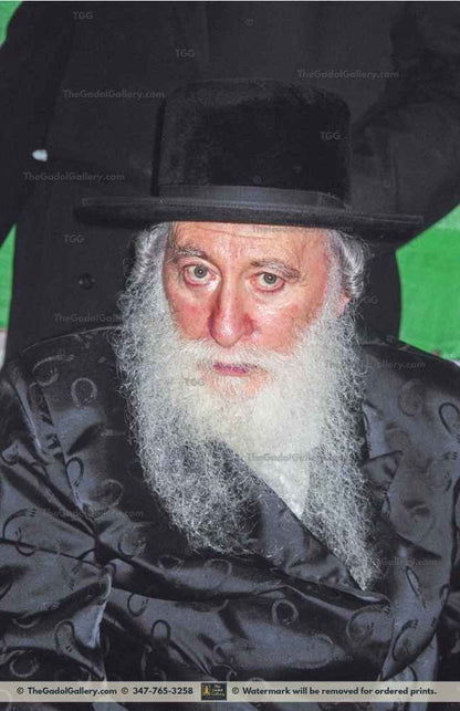 The Rachamstrivka Rebbe -1- האדמו"ר מרחמסטריווקא Sukkah Poster