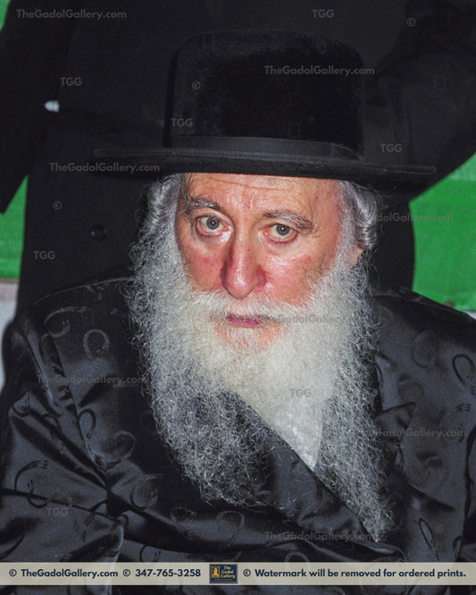 The Rachamstrivka Rebbe -1- האדמו"ר מרחמסטריווקא