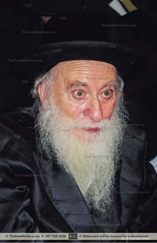 The Rachamstrivka Rebbe -2- האדמו"ר מרחמסטריווקא Sukkah Poster