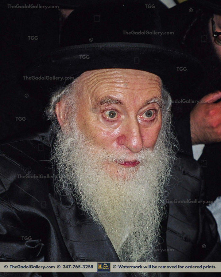 The Rachamstrivka Rebbe -2- האדמו"ר מרחמסטריווקא