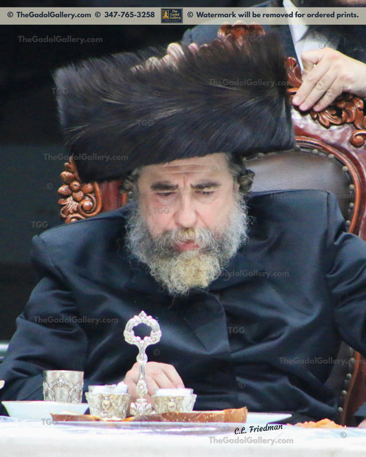 The Rachamstrivka Rebbe -3- האדמו"ר מרחמסטריווקא