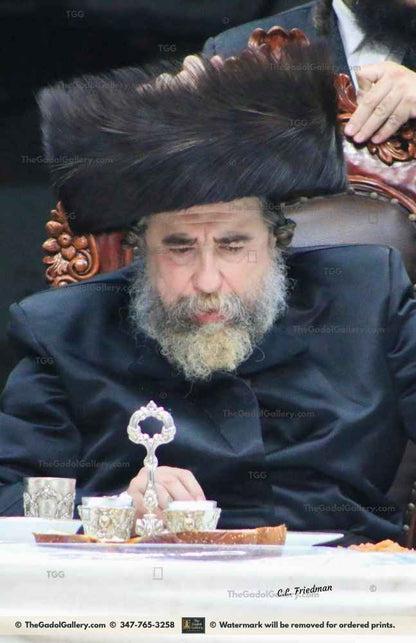 The Rachamstrivka Rebbe -3- האדמו"ר מרחמסטריווקא Sukkah Poster