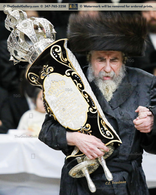 The Rachamstrivka Rebbe -ST- האדמו"ר מרחמסטריווקא
