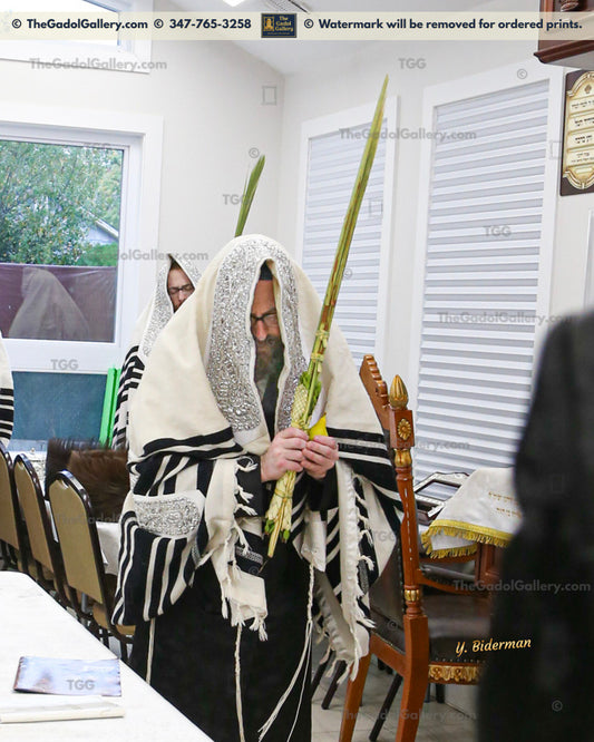 The Rachamstrivka Rebbe (Oak & Vine) -Sukkos- האדמו"ר מרחמסטריווקא