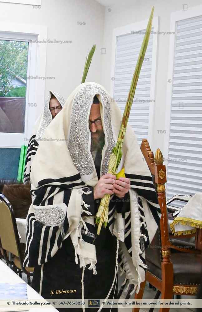 The Rachamstrivka Rebbe (Oak & Vine) -Lulav- האדמו"ר מרחמסטריווקא Sukkah Poster