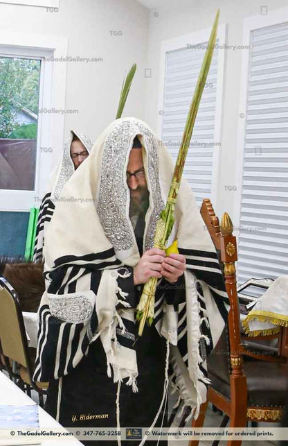 The Rachamstrivka Rebbe (Oak & Vine) -Lulav- האדמו"ר מרחמסטריווקא Sukkah Poster