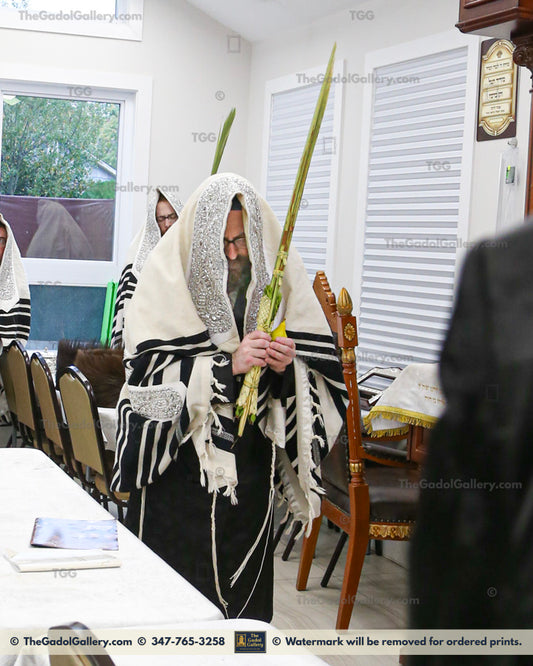 The Rachamstrivka Rebbe (Oak & Vine) -4- האדמו"ר מרחמסטריווקא