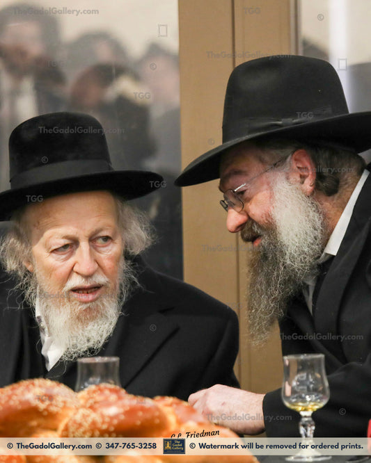 Rav Avrohom Yehoshua Soloveitchik with Rav Tzvi Kaplan