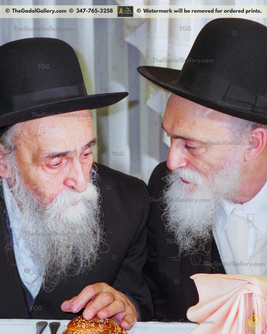 Rav Dovid and Rav Meir Soloveitchik