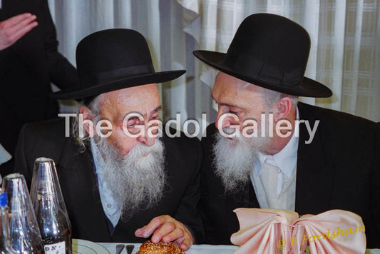 Rav Dovid and Rav Meir Soloveitchik