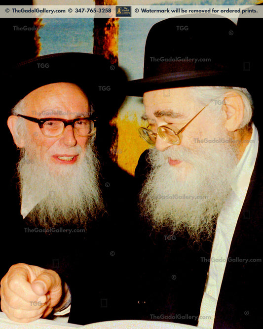 Rav Elazar Menachem Shach with Rav Shlomo Zalman Aurbach