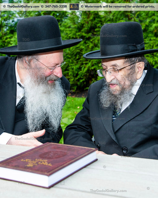 Rav Shmuel Kamenetsky and Rav Malkiel Kotler