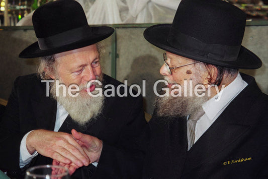 Rav Shlomo Wolbe with Rav Avrohom Yehoshua Soloveitzik Sukkah Poster