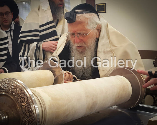 Rav Ahron Shechter - Aliya L'Torah - רב אהרן משה שכטר Sukkah Poster
