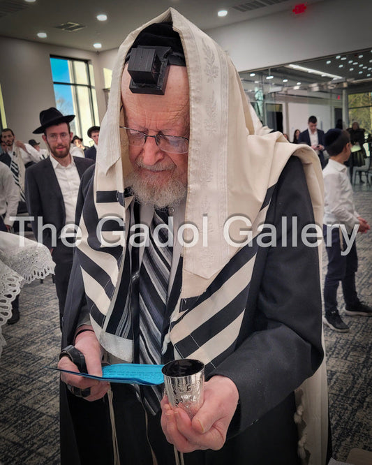 Rav Ahron Tabak Sukkah Poster