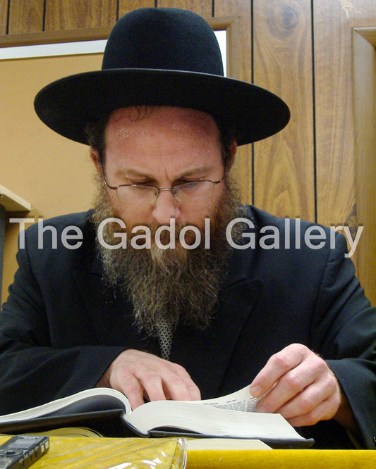 Rav Avrohom Katz - ×¨×‘ ××‘×¨×”× ×›"×¥ Sukkah Poster